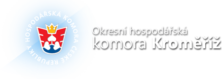 Primary Raster logo